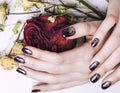 Close up picture of manicure nails with dry flower