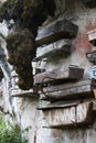 Close-up picture of a mountain-wall with some hanging coffins, Sagada, Luzon, Philippines