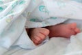 Close up picture of newborn baby feet Royalty Free Stock Photo