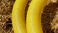 Close up picture of perforated yellow land drainage pipe, it is used to remove excessive ground water from fields and gardens,
