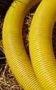 Close up picture of perforated yellow land drainage pipe, it is used to remove excessive ground water from fields and gardens,