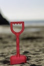 A Close Up Picture Of A Pink Spade In The Sand