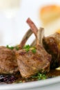 Close up picture of a roasted lamb chop and vegeta Royalty Free Stock Photo