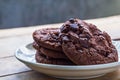 Close up picture of soft baked chocolate cookies in white plate