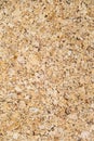 A close up picture surface of corkboard texture for background.