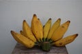 Close-up picture of Thailand called Hak Mook banana. Yellow bananas of thailand