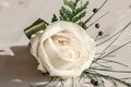 Close-up picture of wedding boutonniere with wedding ring. Wedding accessories bride and groom Royalty Free Stock Photo