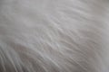 close up picture of white fake fur Royalty Free Stock Photo