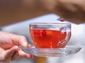 A female`s hands with a cup of berries liquid on a blurred background. Delicious and natural strawberry tea. Royalty Free Stock Photo