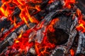 Close up picture of wood burning in a camp fire Royalty Free Stock Photo