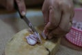 Close-up pictures of people. The chefs are slicing red onions, small vegetables, herbs on a wooden cutting board. Royalty Free Stock Photo