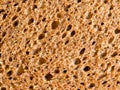 close up of a piece of bread