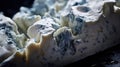 A close up of a piece of cheese with blue mold, AI