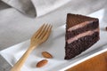 Close up Piece of Chocolate Fudge Cake