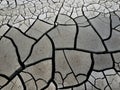 Dry cracked land Royalty Free Stock Photo
