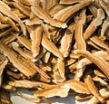 Close up Piece of dry Ling Zhi Mushroom