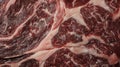 Close-Up of a Piece of Meat Royalty Free Stock Photo