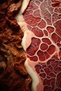 A close up of a piece of meat, AI