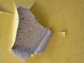 Close-up of piece of peeled paint from yellow painted wall Royalty Free Stock Photo