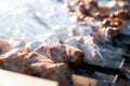 Close-up of pieces of fried meat on a skewer. Delicious, juicy, chicken and pork kebab are grilled on skewers. On sunny day, Royalty Free Stock Photo