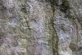 Close up of Piedra Pintada (painted rock), El Valle, Panama Royalty Free Stock Photo