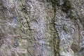 Close up of Piedra Pintada (painted rock), El Valle, Panama