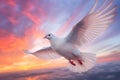 Close-up of a pigeon flying high in sunset sky. Super wide lens shot of dove as a symbol of peace. Generative AI Royalty Free Stock Photo