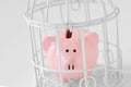 Close-up of piggy bank in a cage on white background - Concept of savings blocked