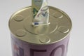 Close-up of a piggy bank with twenty euro banknote Royalty Free Stock Photo