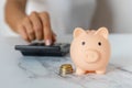 Close-up of a piggy bank and a woman's hand doing calculations on a calculator on an office desk. crisis and inflation. Cost Royalty Free Stock Photo