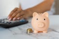 Close-up of a piggy bank and a woman's hand doing calculations on a calculator on an office desk. crisis and inflation. Cost Royalty Free Stock Photo