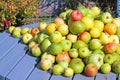Close up of a Pile of apples on a table top.