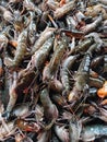 A Close up of A pile of blue shrimp sitting on top of a table.