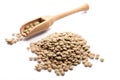 Close-up of pile of brown lentils in a wooden spoon on white background