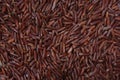 Close-up of a pile of brown rice Royalty Free Stock Photo