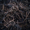 a close up of a pile of brown twigs