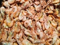 close up of pile bunch of frozen fresh prawns, shrimps in fridge in supermarket