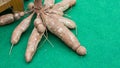 Pile of cassava bulb