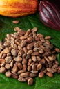 Close-up of pile cocoa beans