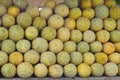 Close up of pile of delicious melons in a market