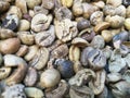 Closeup of a pile of dried coffee beans that have not yet been roasted. Sun dried coffee. Natural coffee drying Royalty Free Stock Photo