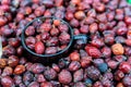 Close up pile of dried fruit of rosehip or wild rose Royalty Free Stock Photo