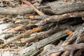 Close up pile of dry wooden twigs in random order