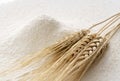 Close-up of a pile of flour and ears of wheat being sifted