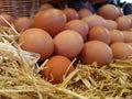 Close up pile of fresh chicken eggs on straw Royalty Free Stock Photo