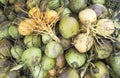 Close up of fresh green coconuts