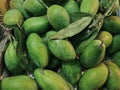 Pile of Fresh Green Mangoes with Leaves Royalty Free Stock Photo