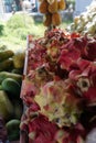 Close up of a pile of fresh local dragon fruit in a fruit basket in a traditional fruit shop for sale Royalty Free Stock Photo