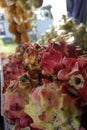 Close up of a pile of fresh local dragon fruit in a fruit basket in a traditional fruit shop for sale Royalty Free Stock Photo