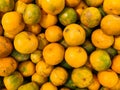 Close up of pile of fresh oranges Royalty Free Stock Photo